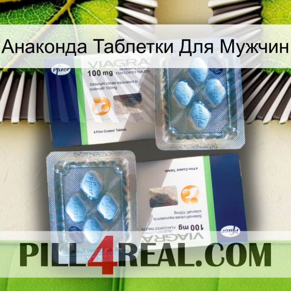 Анаконда Таблетки Для Мужчин viagra5.jpg